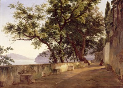 Garten der Kapuziner, in der Nähe von Sorrent, 1827 von Carl Wilhelm Goetzloff